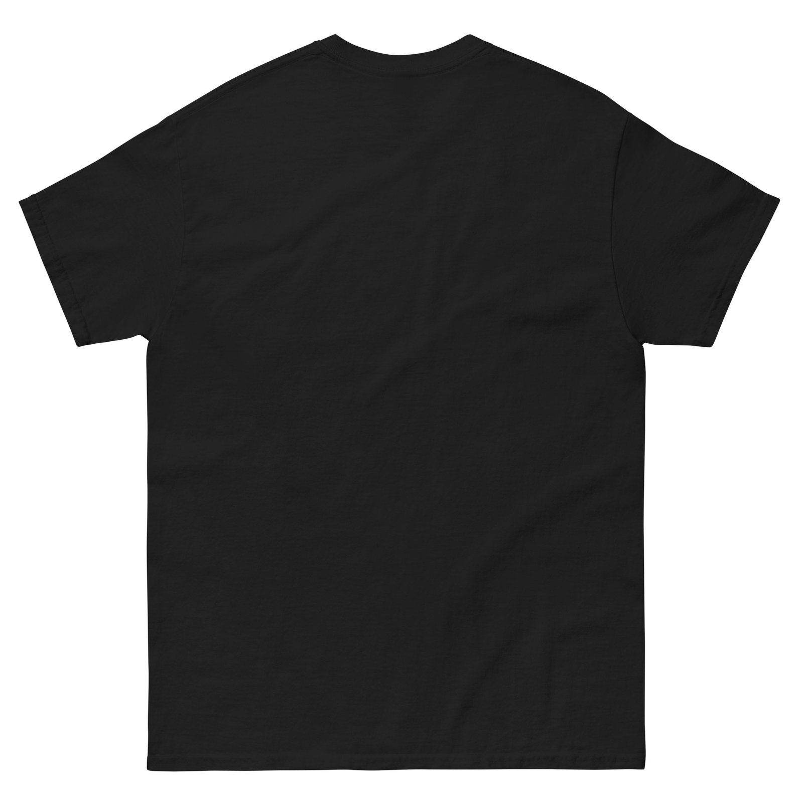 unisex-classic-tee-black-back-67ac151ea9888.jpg