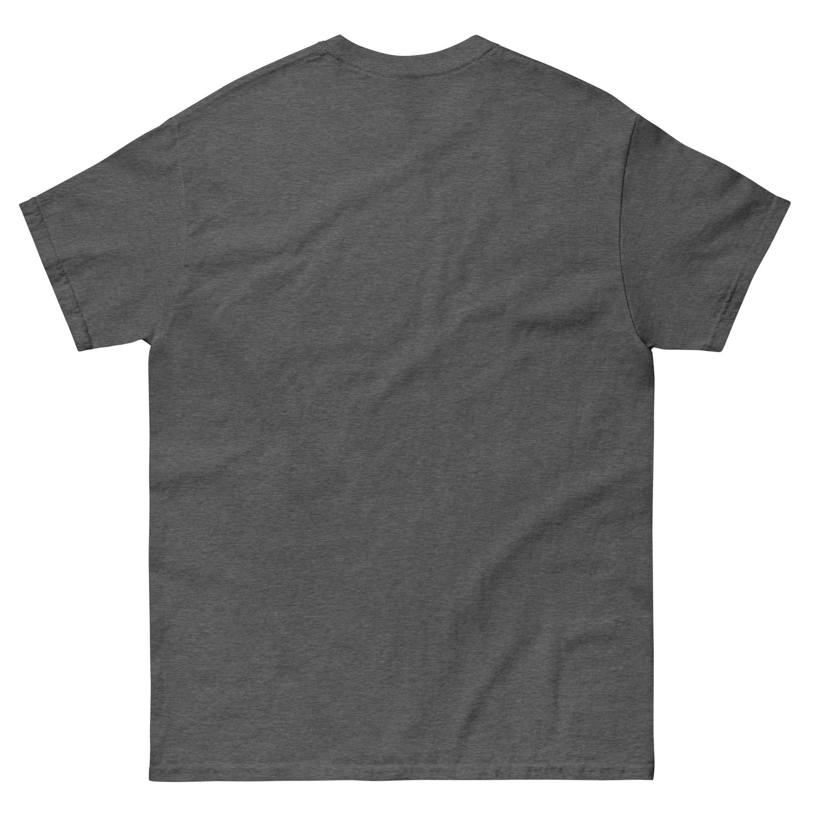 unisex-classic-tee-dark-heather-back-67ac151eaa225.jpg