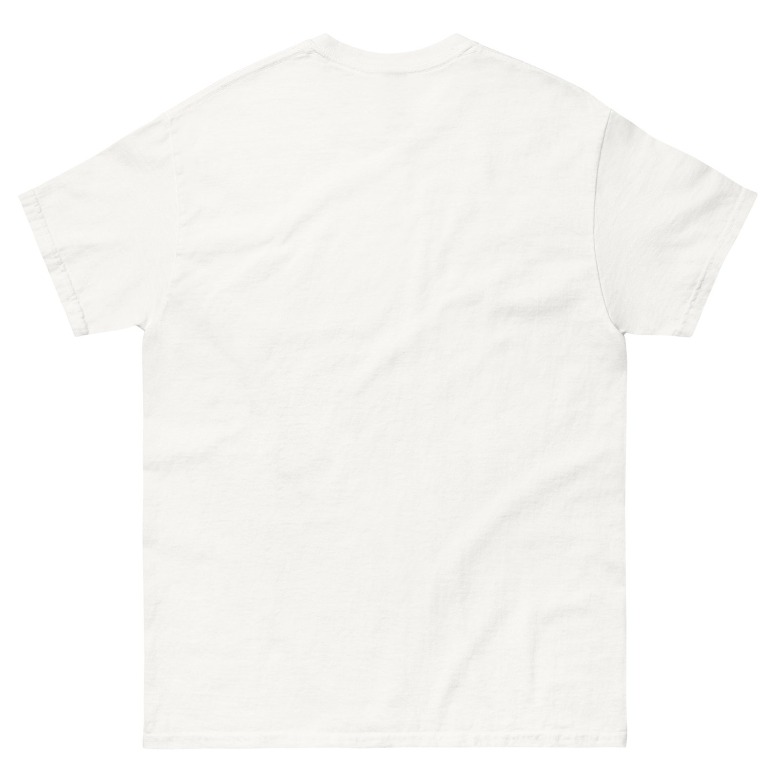 unisex-classic-tee-white-back-67ac151ead2ee.jpg